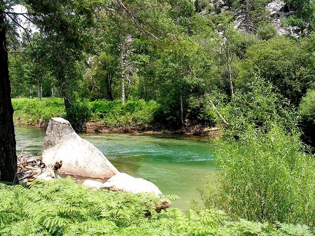 Life balance in nature