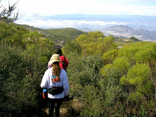 Hikers