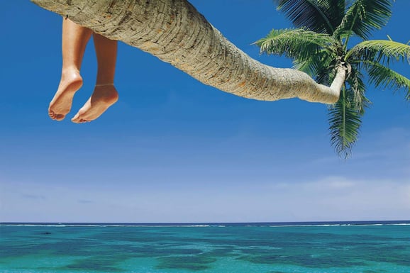 Palm Tree relaxation copy